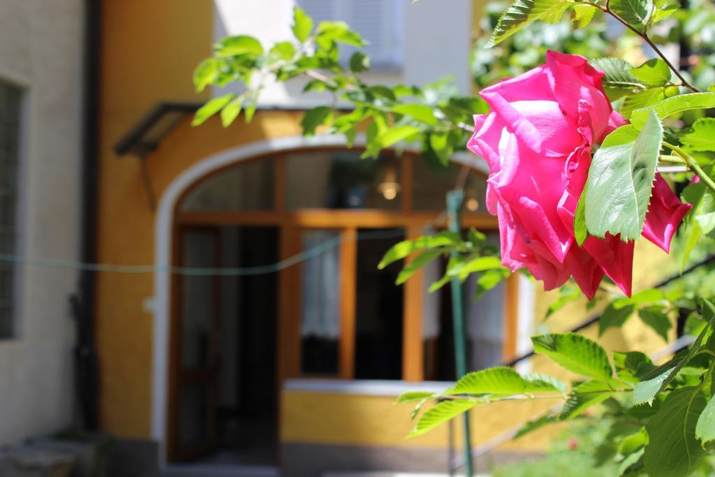 Rose Apartment By Quokka 360 - Refined Two-Bedroom Apartment With Garden Lugano Eksteriør bilde